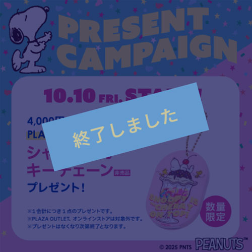キャンペーン